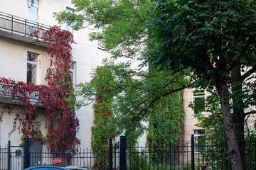 Photo Nature and architecture in the city. Beautiful views. Pushkin City, Russia