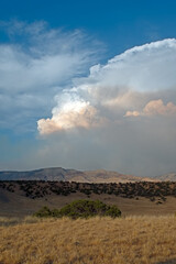 Fototapeta premium Pine Gulch Wildfire Colorado