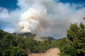 Fototapeta premium Pine Gulch Wildfire Colorado