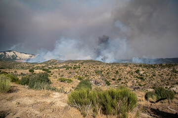 Pine Gulch Wildfire Colorado