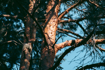 Beautiful wild eco environment near the city