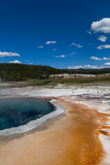 Crested Pool at Yellowstone National Park