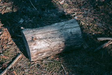 Beautiful wild eco environment near the city