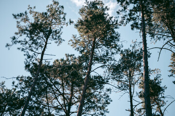 Beautiful wild eco environment near the city