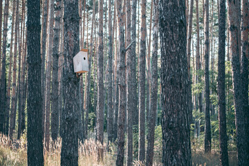 Beautiful wild eco environment near the city