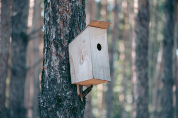 Beautiful wild eco environment near the city
