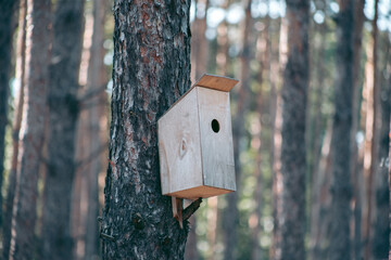 Beautiful wild eco environment near the city