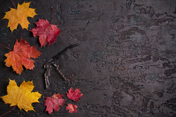Obraz premium Wine corkscrew on black background with autumn leaves, copy space. View from above, top studio shot