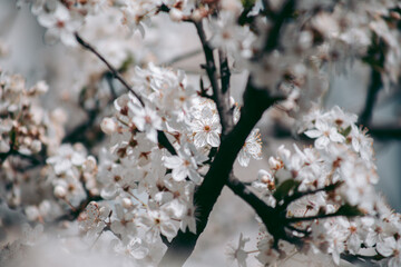 Beautiful wild eco environment near the city
