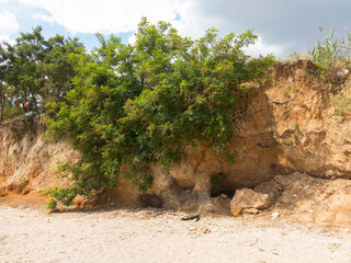 Mountain landslide disaster in sesmically dangerous area. Large cracks in earth, descent of large...