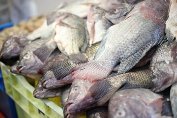 Pescado en mercado mexicano, mexico, queretaro