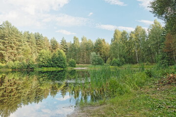 Fototapeta na wymiar Little lake with forest in Noginsk area, Moscow region, Russia. HDR