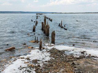 Salty estuary Kuyalnik, dead lake near Odessa, Ukraine. Wooden sticks reflected in blue water at sunny weather.