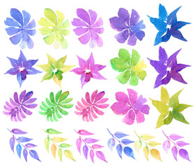 Set with watercolor abstract  leaves and flowers in blue ,pink,green,purple colors.Natural elements on white background.Can be used for fabric,textile,wallpaper,wrapping paper,packeging,card