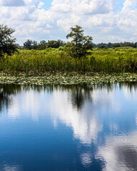 clouds reflecting on the lake