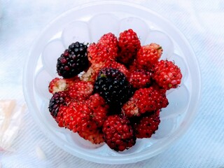 raspberries and blackberries