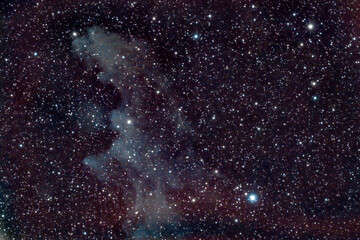 DeepSky Witchead Nebula Nebulosa Testa di Strega