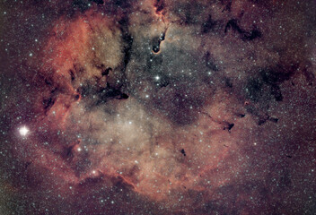 DeepSky Elephant Trunk Nebula Nebulosa Proboscide d'Elefante