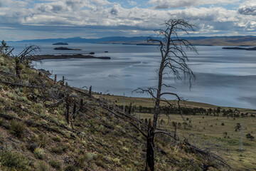 Bush Tree without leaves on a rock against the background of the lake Baikal. Cloudy Clouds in the sky.