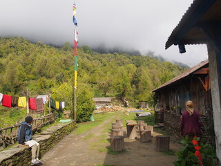 Obraz premium People in the village looking in, ABC (Annapurna Base Camp) Trek, Annapurna, Nepal