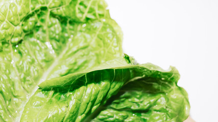 Vista en cenital de hojas frescas de lechuga natural aisladas sobre un fondo blanco y luminoso.
