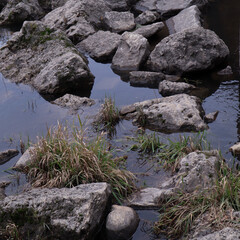 rocks in the water