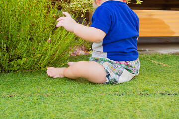 芝生で遊ぶ日本人の赤ちゃん
