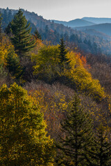 Autumn in the Great Smoky Mountains