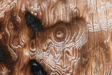 close up of a wood
