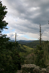 clouds over the forest
