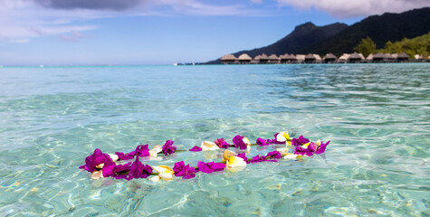 Colorful flower lei floats in turquoise water on an exotic tropical island © Mat Hayward