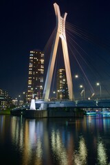 Fototapeta na wymiar 中央大橋夜景　縦構図　高層ビルとライトアップ リフレクション
