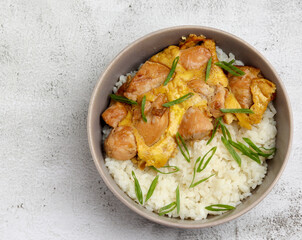 Oyakodon bowl of rice topped with chicken and eggs on a light gray background. Top view, flat lay