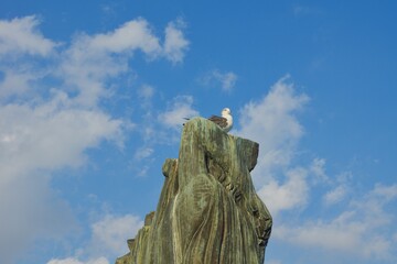 中央大橋の銅像の頭に止まるカモメ