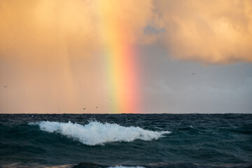 Rainbow over the ocean, Sydney Australia