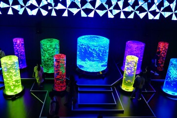 日本の綺麗なアートアクアリウム