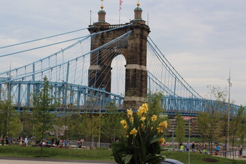 bridge over the river