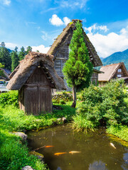 Fototapeta na wymiar 日本の原風景　夏の白川郷