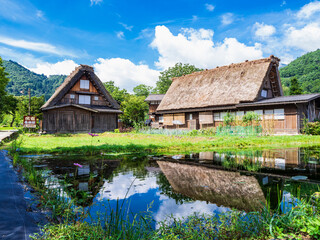 Fototapeta na wymiar 日本の原風景　夏の白川郷