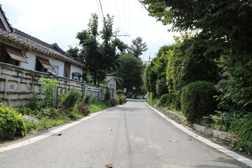 Fototapeta premium street in the village
