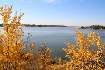 Fototapeta na wymiar Colours Along Astotin Lake, Elk Island National Park, Alberta