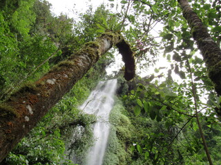 SANTA ROSA DE CABAL. RISARALDA. COLOMBIA