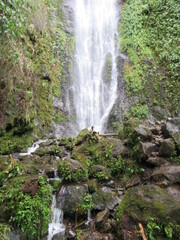 SANTA ROSA DE CABAL. RISARALDA. COLOMBIA