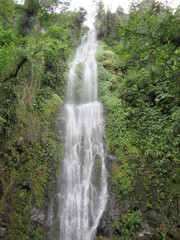 Fototapeta premium SANTA ROSA DE CABAL. RISARALDA. COLOMBIA