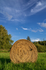 Beautiful bale of straw in the field