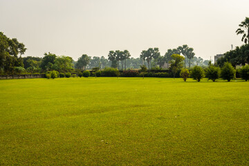 green grass ground with flat sky