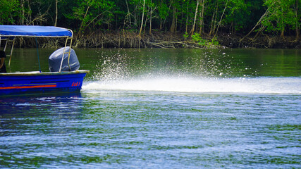 A blue motor boat drizzling water through a lake surrounded with mangrove forest in Langkawi, Malaysia for eagle feeding