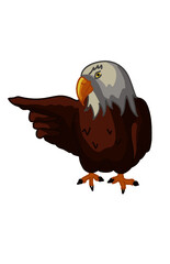 Pointing Eagle