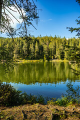 The Reflection of Trees in Lake