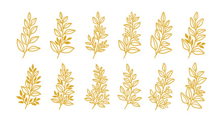 Hand drawn florals, branches and leaves collection. Set of botanical vector illustration